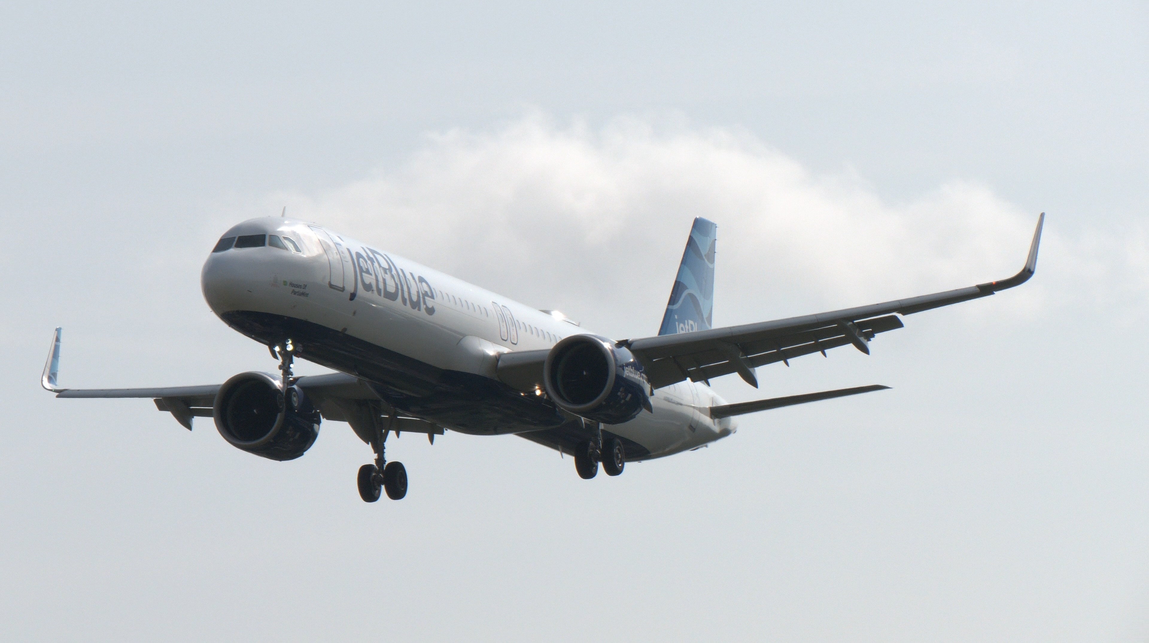 JetBlue A321neo
